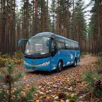 Excelente Autobús de Pasajeros Diésel de 29 Asientos ZK6809HA en Excelente Estado, Modelo de Exportación Usado de China