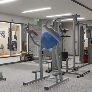 Machine de musculation multifonctionnelle professionnelle LK-061B : Tour de musculation, équipement pour soulevés de genoux, dips et tractions, pour usage commercial et domestique - Product Image 5