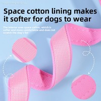 Collier et laisse réglables pour chiens de petite à moyenne taille, en polypropylène, anti-évasion, sans risque d'étouffement