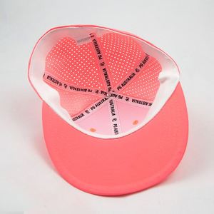 Gorra de 6 Paneles con Visera Plana, 100% Algodón, Bordado 3D y Bordado Plano, Parte Trasera Cerrada, Cintas Personalizables, Deportiva para Niños, para Actividades al Aire Libre - Product Image 6
