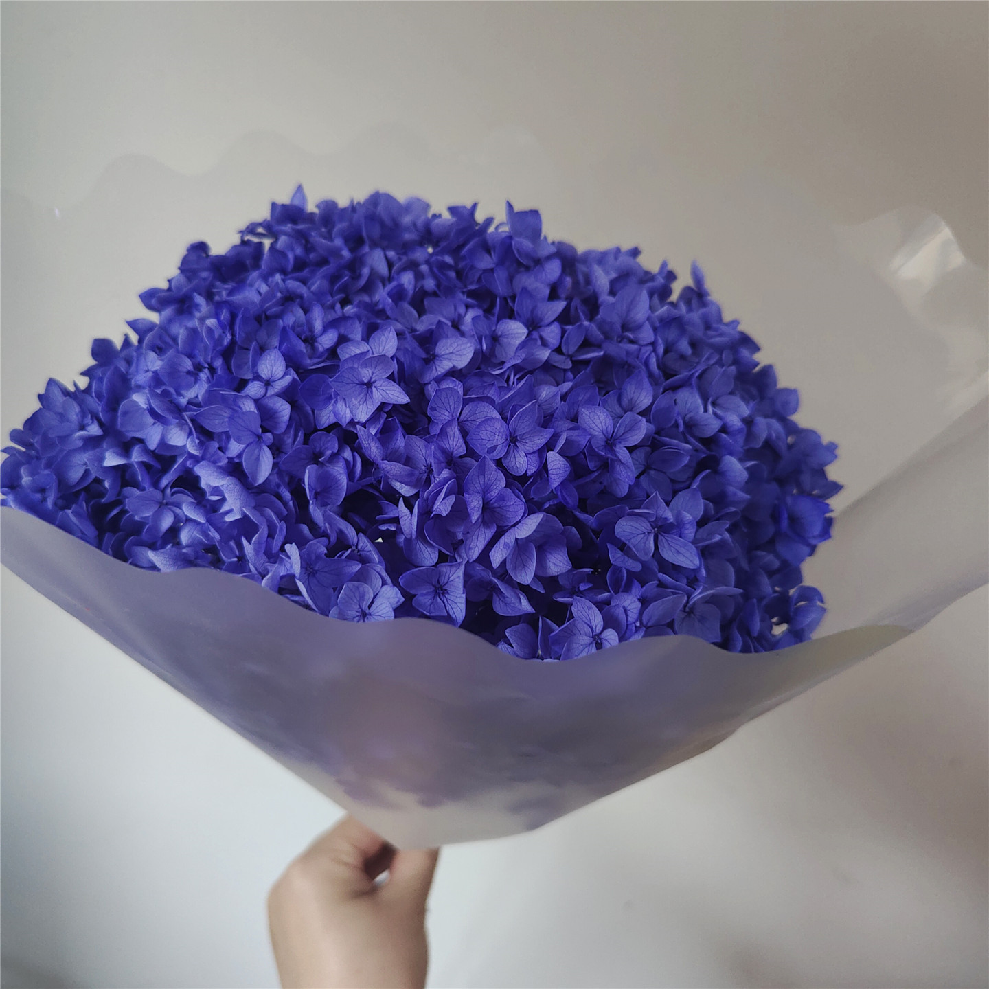 Dark purple, 18-21 cm