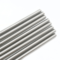 Ball Screw TR6X2 TR6*2 300mm Stainless Steel with Brass Nut Bearing Factory Direct Customized