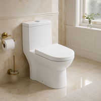 Offre Spéciale – WC monobloc en céramique de haute qualité pour la maison, avec siphon en P de 180 mm – Cuvette de toilette sanitaire
