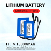 HiZY 11.1V 10000mAh 18650 LiCoO2 Batterie rechargeable lithium-ion à 500 cycles de vie pour voitures télécommandées à détection gestuelle et cascades