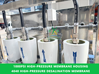 Dessalinisateur d'eau de mer certifié CE 500L/H sur châssis pour îles, dessalement de puits de plage, usine d'osmose inverse à petite échelle