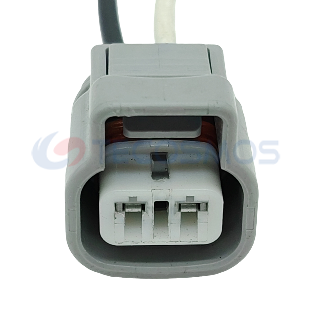 Auto Parts Waterproof Automotive Connector 2Pin Female for Car Water Level Water Bottle Plug 192000-3130