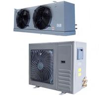 Ensemble de refroidisseur d'air et de groupe de condensation de réfrigération personnalisé pour chambre froide industrielle et commerciale, chambre de congélation