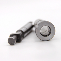 Plunger tipe-p kualitas tinggi 2418455002 Plunger tekanan tinggi 2 418 455 2455 bilah 002 2455/002 2455002