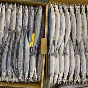 China's Whole Round Frozen Pacific Saury Fournisseur Alimentaire <strong>Poisson</strong> <strong>Poisson</strong> Congel&eacute; - Product Image 2