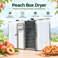 Industriële perzikdroogmachine, perzikdehydrator, hetelucht fruitdroger, dienblad droogoven voor gedroogde perziken