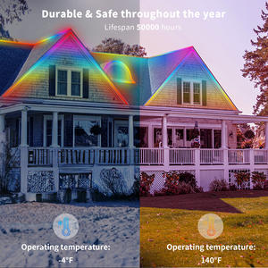 <span class=keywords><strong>Ruban</strong></span> LED Feican personnalisé en néon flexible, étanche IP67, silicone souple, 3 mm, DC24V, contrôle vocal, connectivité USB, lampe en PVC - Product Image 6