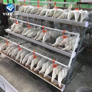 Jaula tipo a para aves <span class=keywords><strong>de</strong></span> corral, jaula para <span class=keywords><strong>pollos</strong></span>, polluelos <span class=keywords><strong>de</strong></span> bebé - Product Image 1