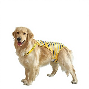 Pantalon décontracté toutes saisons en coton et élasthanne pour grand <span class=keywords><strong>chien</strong></span> femelle (Labrador, Golden Retriever), anti-mise en gestation et anti-mestruation - Product Image 1