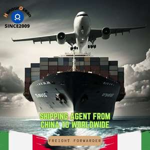 <span class=keywords><strong>Agente</strong></span> de Transporte de Carga de China a Italia y Estados Unidos, Servicio Logístico Puerta a Puerta, Almacén Local, Transporte Ferroviario Exprés, Servicio DDP - Product Image 3
