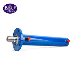Vérin hydraulique métallurgique robuste HSG HSGL01-40/dE HSGL01-50/dE HSGL01-63/dE HSGL01-80/dE pour grue de chantier - Product Image 1