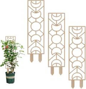 Treillis de jardin en bois Tailai en gros pour plantes grimpantes, pergola en bois pour plantes en pot, fleurs, vignes, entraînement à la <span class=keywords><strong>grimpante</strong></span> - Product Image 6