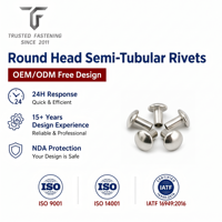 Rivets semi-tubulaires à tête ronde personnalisés TianFang pour la production d'instruments de précision, en acier inoxydable passivé, fabriqués sur commande