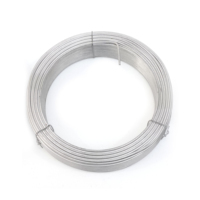 Fil de Jardin Rond en Métal Revêtu de PVC, Résistant aux Intempéries, Flexible, Noir et Vert