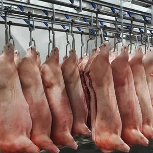 Línea Integrada <span class=keywords><strong>de</strong></span> Desmembración <span class=keywords><strong>de</strong></span> <span class=keywords><strong>Ganado</strong></span> <span class=keywords><strong>Bovino</strong></span> con Transportadores Automatizados <span class=keywords><strong>de</strong></span> Acero Inoxidable, Rodamientos <span class=keywords><strong>de</strong></span> Motor y Ingeniería <span class=keywords><strong>de</strong></span> Precisión para un Uso Prolongado - Product Image 6