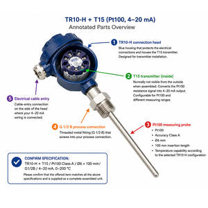 Sensor Pt100 de Instalación Directa, -196 a +600°C, Termómetro de Resistencia con Cubierta TR10-H - Product Image 1
