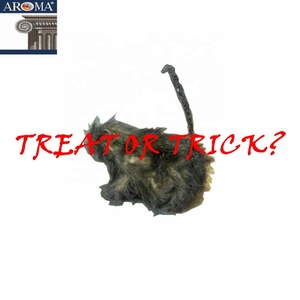 Decoración de Pared y Accesorio para Fiestas de Halloween, <span class=keywords><strong>Esqueleto</strong></span> <span class=keywords><strong>Rata</strong></span> Ratón Trepador de 5.5 Pulgadas, Modelo HC15-50-2, para Fiestas de Casas Encantadas - Product Image 4
