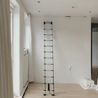 Échelle télescopique en aluminium argenté EN131, style industriel, pliable, pour la maison, l'extérieur et l'entrepôt, design moderne et portable