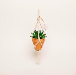 Colgador de Macramé Tradicional Étnico para Plantas Pequeñas - Product Image 1