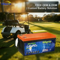 Batterie LiFePO4 à décharge profonde pour voiturette de golf 38.4V 100AH Grade A 6000 cycles BMS intelligent Bluetooth Connecteur Anderson CE RoHS IP67 OEM ODM