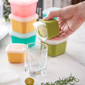 Vente flash : Gadgets de congélation pour whisky, outils de cuisine, moules à glaçons carrés, moules à glaçons miniatures réutilisables - Product Image 4