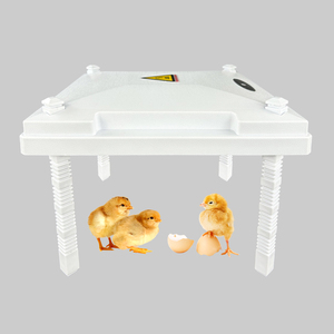 Sicurezza e Comfort piastra riscaldante per pulcini per animali domestici riscaldatore per pulcini di 20 capacità attrezzature per l'allevamento di pollame - Product Image 1
