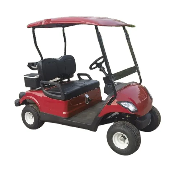 Voiturettes de golf /buggy 2 places à gaz certifiées EPA, bon marché, Offre Spéciale