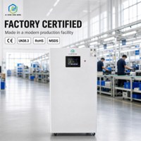 Batterie solaire murale LiFePO4 48V 200Ah 10,24 kWh avec BMS pour stockage d'énergie domestique