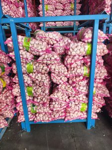 Exportadores de ajo blanco fresco Ajo Alho con bolsa de malla embalaje para alimentos nuevo cultivo de ajo al por mayor - Product Image 2