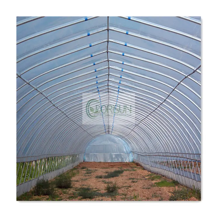 Rouleau de film manuel Ouvre-fenêtre d'intérieur Panneau de refroidissement automatique Arches Tunnel Rollup Motors Solar Greenhouse Grow Tent à vendre