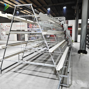 Cage à poules pondeuses de type A 96/120/128/160 oiseaux, 3/4 niveaux, 4/5 portes, avec alimentation automatisée et élimination des excréments pour poules pondeuses - Product Image 5