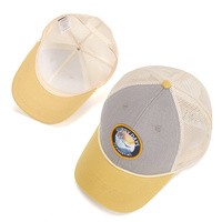 Gorra de Béisbol Unisex de Malla de Algodón de Alta Calidad Personalizada al por Mayor con Logotipo de Parche, Gorra Deportiva para Exteriores para Verano y Primavera