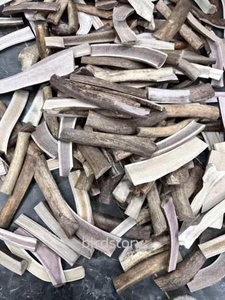 Trung Quốc Sika Deer <span class=keywords><strong>ANTLER</strong></span> <span class=keywords><strong>Chew</strong></span> Stick cho chó và mèo XL thân thiện với môi Pet <span class=keywords><strong>Toy</strong></span> với sang trọng Deer horn đóng gói trong túi - Product Image 6