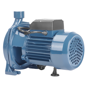 Pompe centrifuge horizontale monophasée 2HP à faible pression pour l'irrigation, personnalisable OEM, joint en acier inoxydable, garantie 1 an - Product Image 2