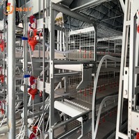 Système de cages à poulets de type H haute densité, équipement d'élevage de poulets automatique pour les fermes avicoles à grande échelle