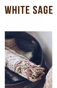 Bâtons de <span class=keywords><strong>sauge</strong></span> <span class=keywords><strong>blanche</strong></span> biologique de Californie de qualité supérieure pour la purification des finances, de la maison, la méditation et le yoga - Product Image 3