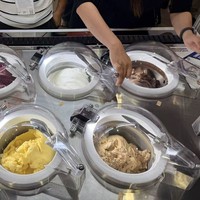 Machine à glaces en acier inoxydable avec agitation continu pour lait et noix, certifiée Energy Star, sur pied