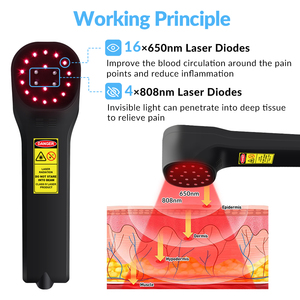 Perangkat Laser LLLT Kelas 3B Dingin Genggam 650nm Alat Medis Veteriner untuk Pereda Nyeri TMJ pada Kuda - Product Image 2
