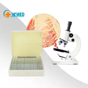 Suministros de oficina y escuela de alta calidad, microscopio elaborado, tobogán biológico