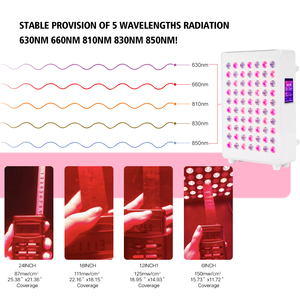 Azuurblauwe Oem Odm 7 Golflengte Touchscreen Gezicht Lichaamsverzorging Pdt Machine Infared Apparaat Led Rood Licht Therapie Paneel Rhpro300 - Product Image 5