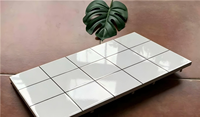 Carrelage en céramique à motif quadrillé contemporain 300x600mm, finition mate, résistant à l'usure, blanc et noir, pour sol intérieur, garantie 3 ans