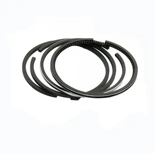 FAYN1125 Small Engine Auto Piston Ring