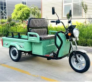 2024 New 3 Wheel Electric Motorcycle 500W 48V Electric Cargo Tricycle 3 Wheel Electric Bike Electric Cargo For Adults