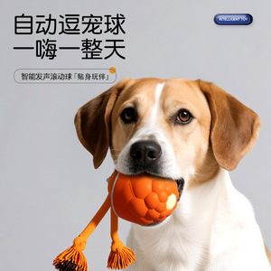 Balle rebondissante à gravité pour animaux de compagnie, vente en gros d'usine, jouet intelligent pour chien, balle de marche automatique pour chien, jouet auto-amusant pour chien. - Product Image 1