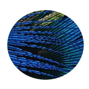 Papillon Elegante <span class=keywords><strong>di</strong></span> Alta Qualità in Piume <span class=keywords><strong>di</strong></span> Pavone Bianche Fatte a Mano per <span class=keywords><strong>Uomo</strong></span> - Product Image 5