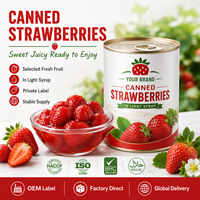 Natuurlijke ingeblikte aardbeien in lichte siroop voor supermarkt retail, custom brand en foodservice distributie